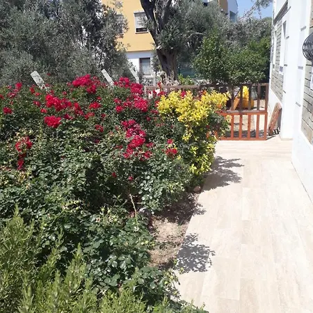 Apple House Kelebek - 2 Daire