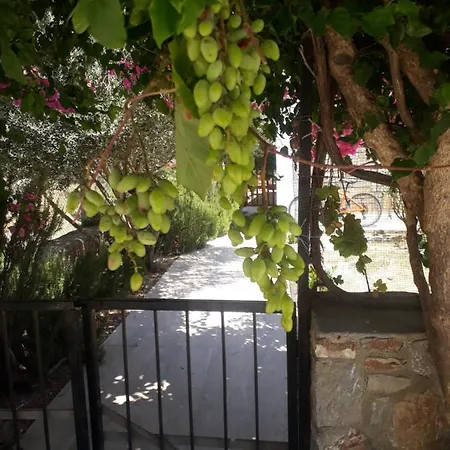 Apple House Kelebek - 2 Daire Datça